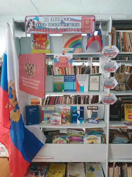 Единый  день Конституция (8)