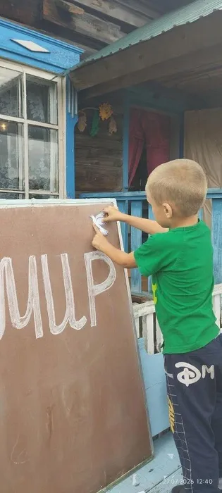 голубь мира