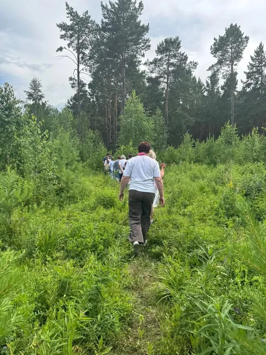 в гости к лошадям