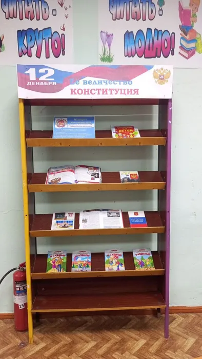 Единый  день Конституция (24)